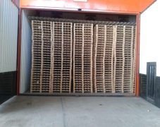 IMG-20180613-WA0048
